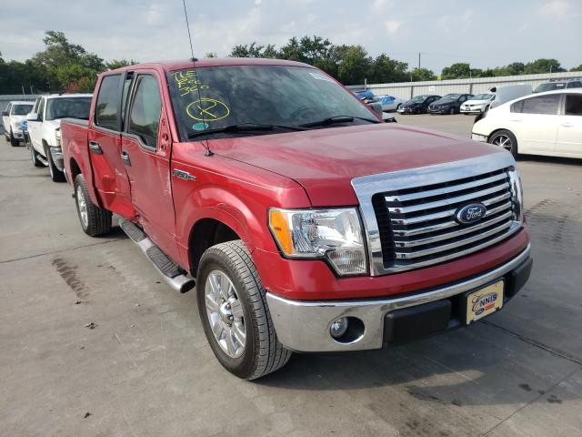 FORD F150 SUPER 2010 1ftew1c89afc62142