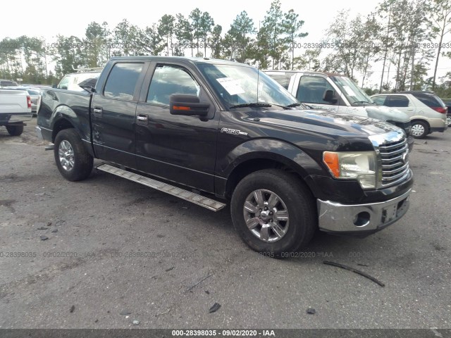 FORD F-150 2010 1ftew1c89afc68782