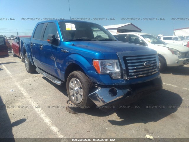 FORD F-150 2010 1ftew1c89afc76090