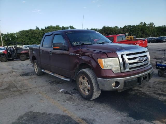 FORD F150 SUPER 2010 1ftew1c89afc90927