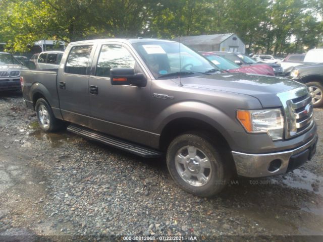 FORD F-150 2010 1ftew1c89afd09525