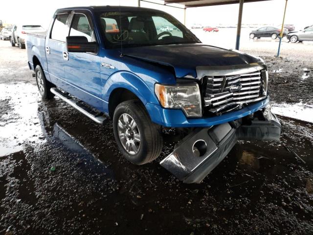 FORD F150 SUPER 2010 1ftew1c89afd55470