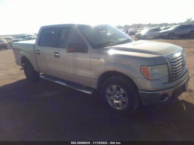 FORD F-150 2010 1ftew1c89aka49912