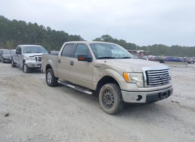 FORD F-150 2010 1ftew1c89aka75104