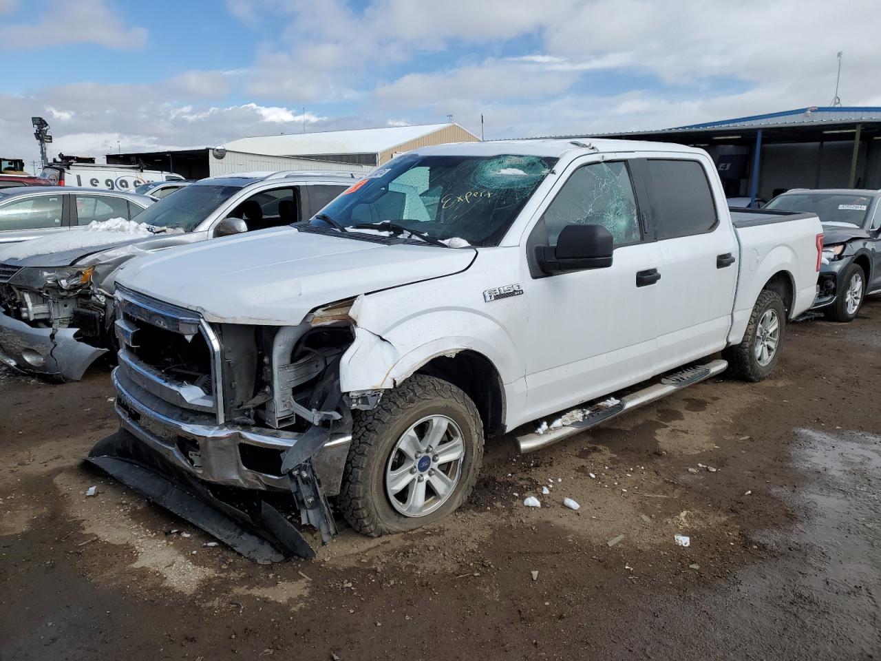 FORD F-150 2015 1ftew1c89fkd55872