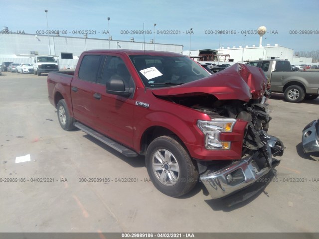 FORD F-150 2015 1ftew1c89fke54434