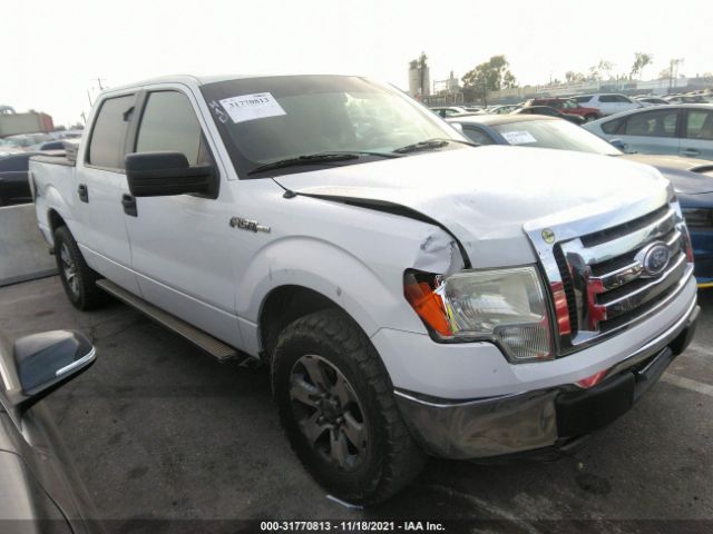 FORD F-150 2010 1ftew1c8xafa09914