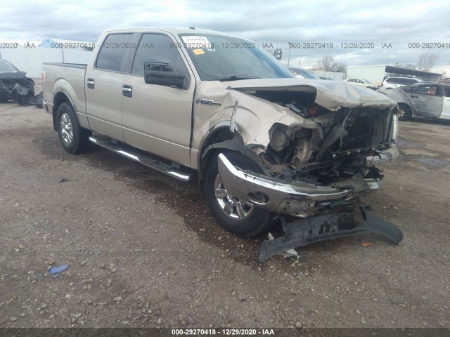 FORD F-150 2010 1ftew1c8xafa57428