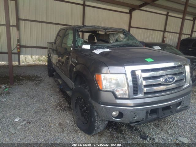 FORD F-150 2010 1ftew1c8xafa83379