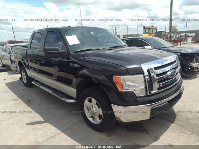 FORD F-150 2010 1ftew1c8xafa95371