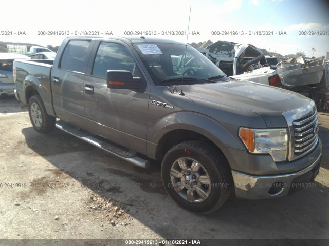 FORD F-150 2010 1ftew1c8xafb15506