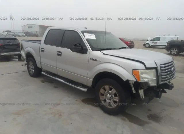 FORD F-150 2010 1ftew1c8xafb77519