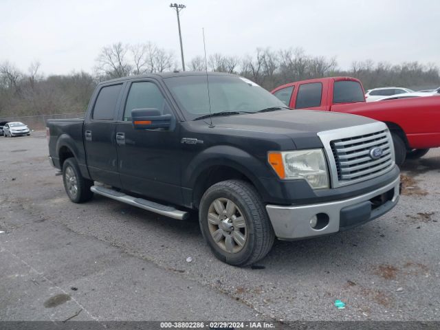 FORD F-150 2010 1ftew1c8xafc33880