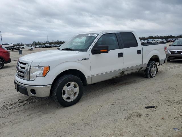 FORD F-150 2010 1ftew1c8xafc54809