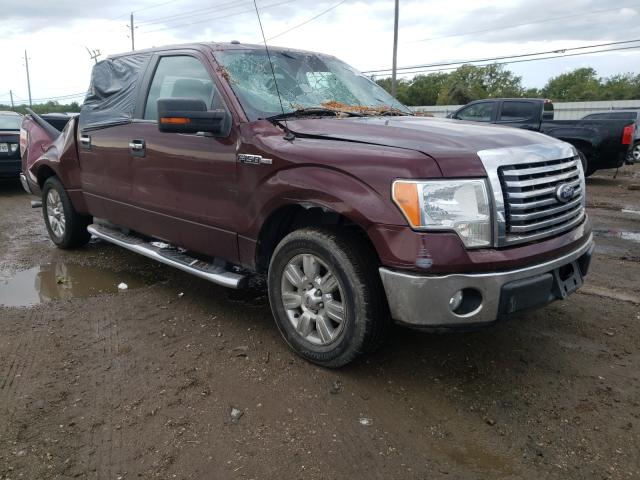 FORD F150 SUPER 2010 1ftew1c8xafc78138