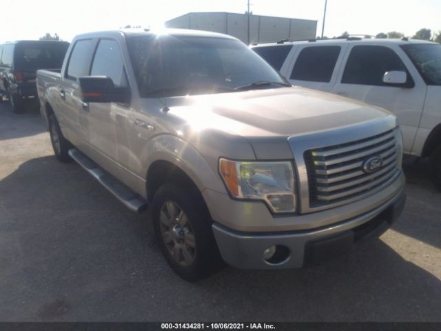 FORD F-150 2010 1ftew1c8xafd42467