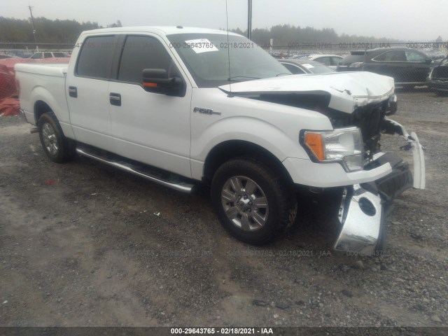 FORD F-150 2010 1ftew1c8xafd73993