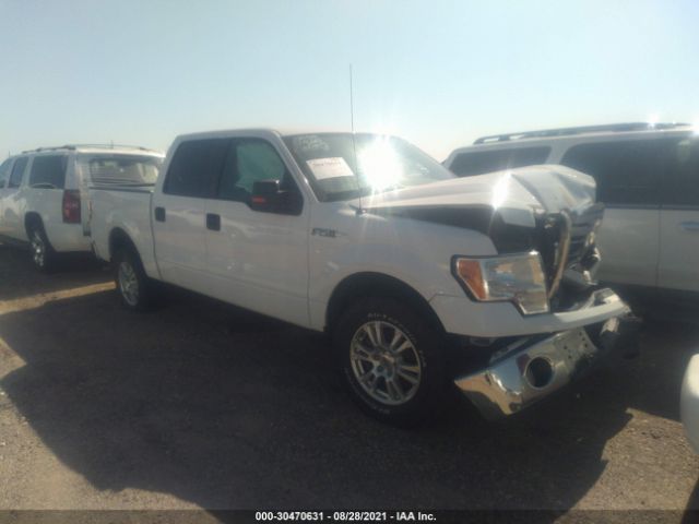 FORD F-150 2010 1ftew1c8xafd89577