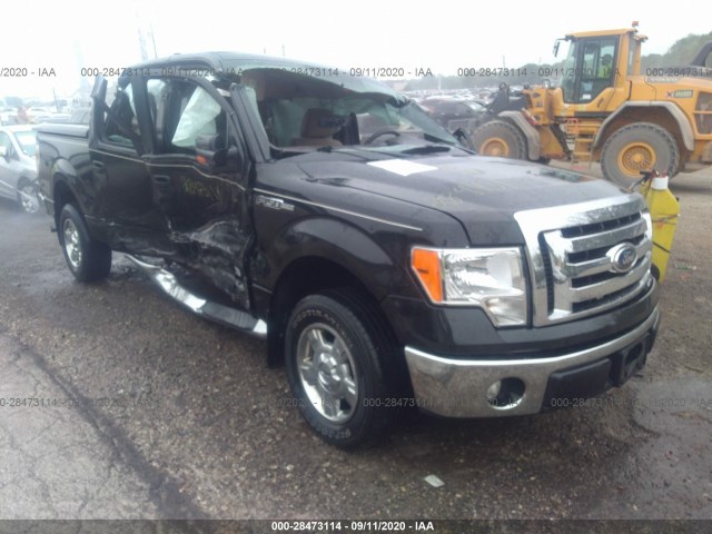 FORD F-150 2010 1ftew1c8xake13822