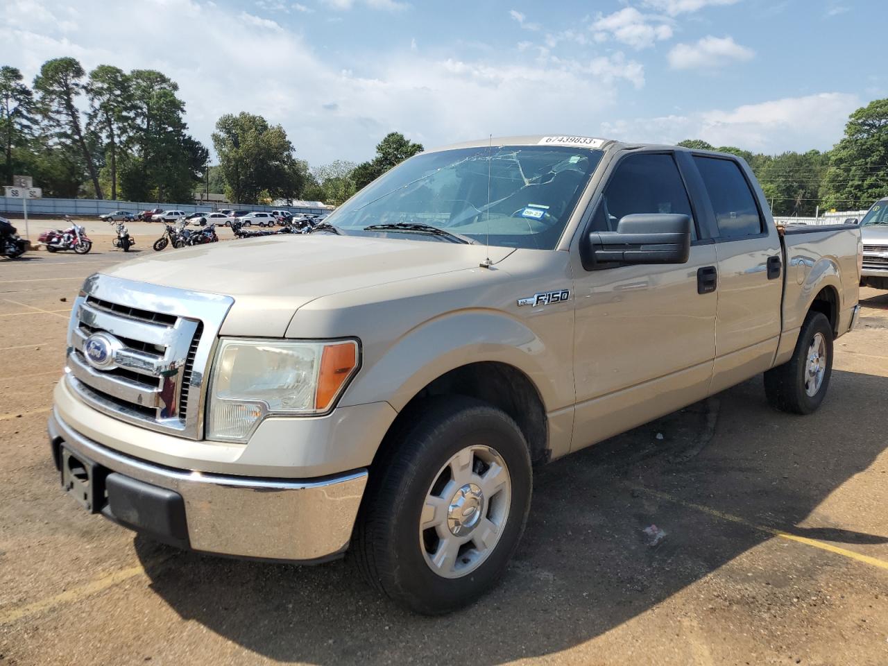 FORD F-150 2010 1ftew1c8xake17918