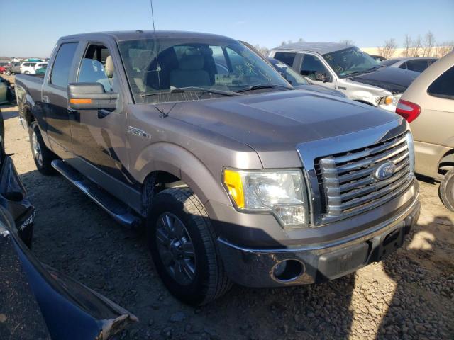 FORD F150 SUPER 2010 1ftew1c8xake46108