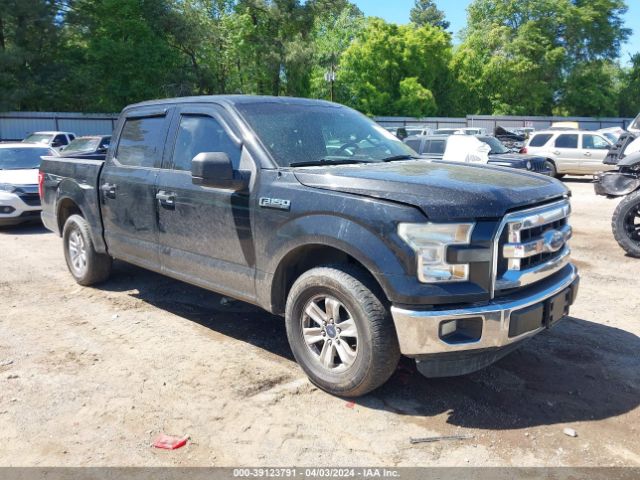 FORD F-150 2015 1ftew1c8xfkd76813