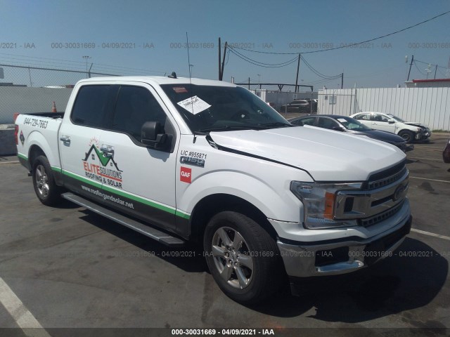 FORD F-150 2019 1ftew1cb1kkc44223