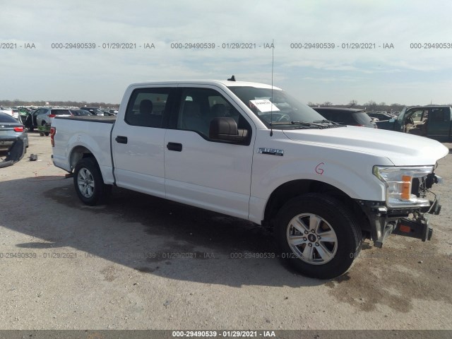 FORD F-150 2019 1ftew1cb1kkc90117