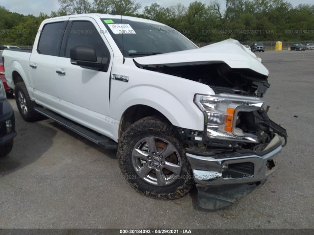 FORD F-150 2019 1ftew1cb1kke56622