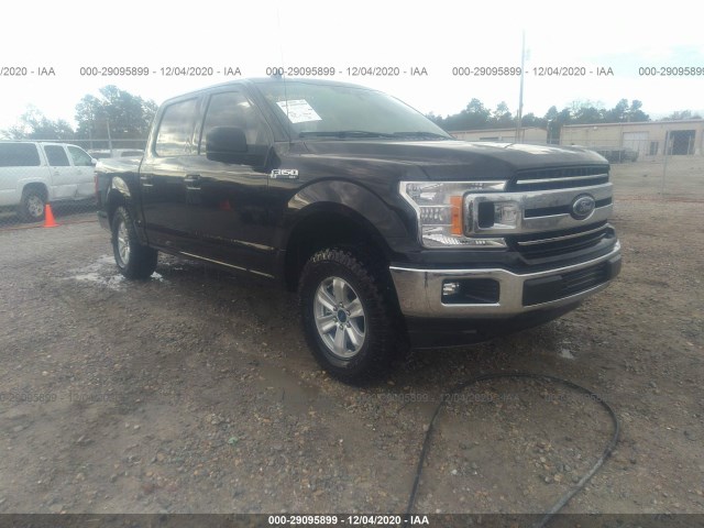 FORD F-150 2019 1ftew1cb4kkc40294