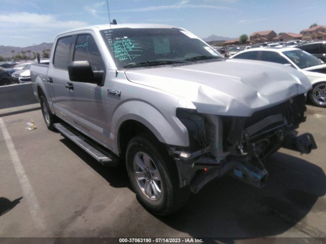 FORD F-150 2019 1ftew1cb9kkc41022