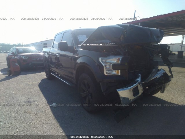 FORD F-150 2015 1ftew1cf0fkf12557