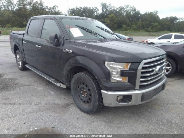 FORD F-150 2015 1ftew1cf1ffd02462