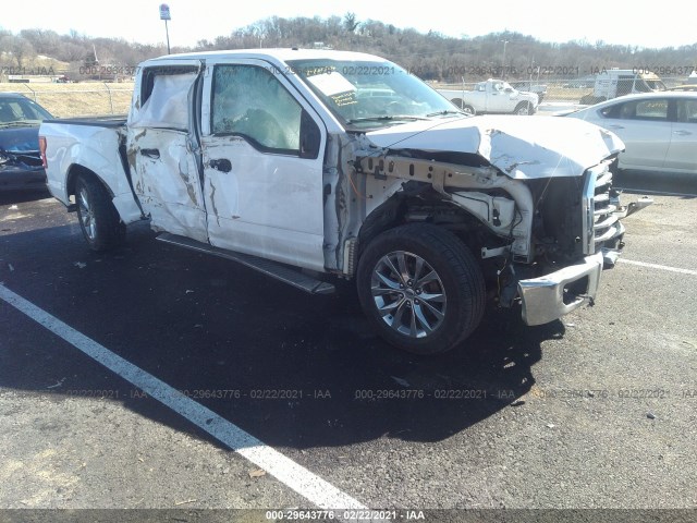 FORD F-150 2015 1ftew1cf1fke67919