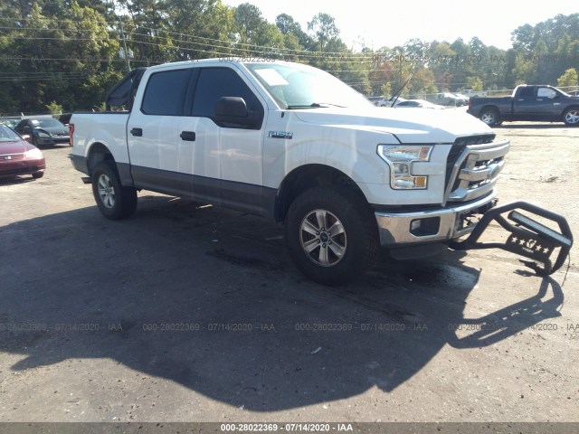 FORD F-150 2015 1ftew1cf3ffa16659