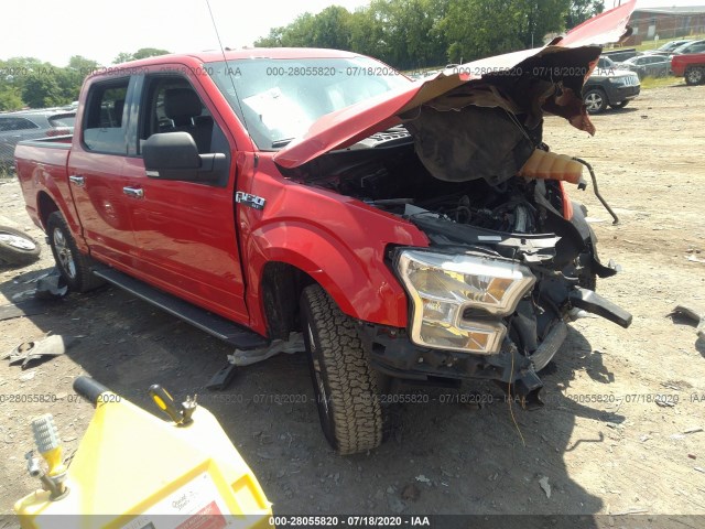 FORD F-150 2015 1ftew1cf4fkd07579