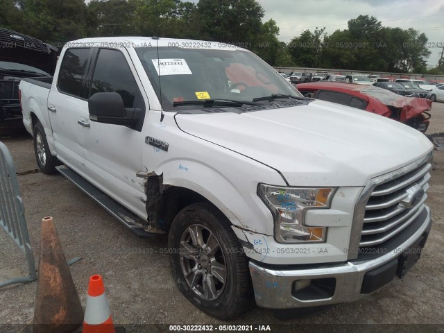 FORD F-150 2015 1ftew1cf5fkd09339