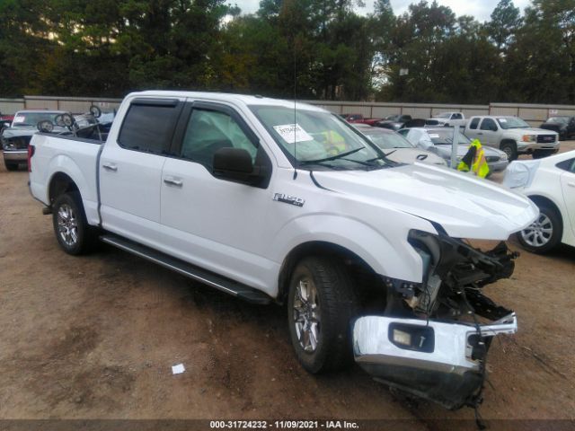 FORD F-150 2015 1ftew1cf8fkd01784