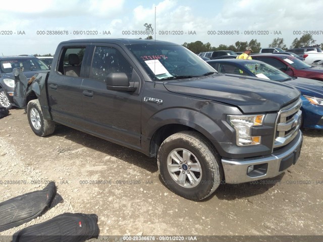 FORD F-150 2015 1ftew1cf9ffa41369