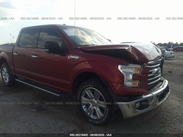 FORD F-150 2015 1ftew1cfxffa79581