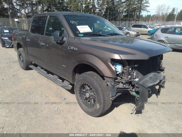 FORD F-150 2015 1ftew1cg0ffa41074