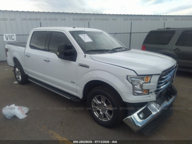 FORD F-150 2015 1ftew1cg1ffa38815