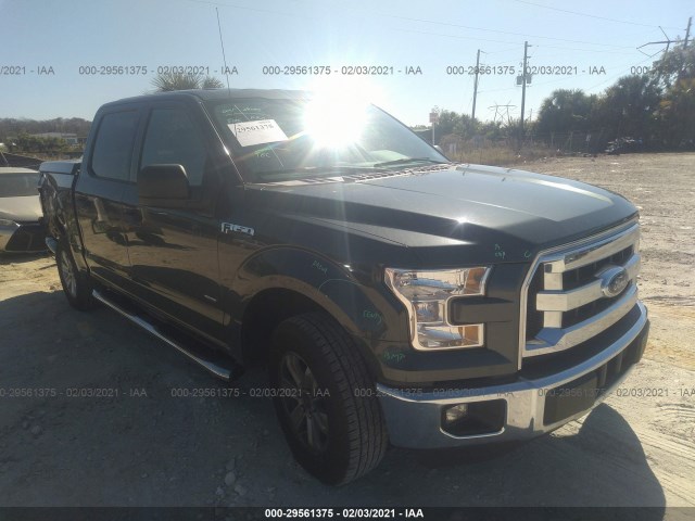 FORD F-150 2015 1ftew1cg4ffa73316