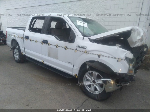 FORD F-150 2015 1ftew1cg4fkd64891