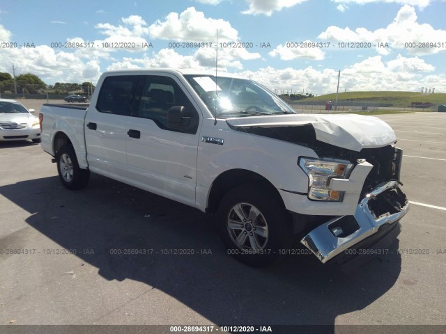 FORD F-150 2015 1ftew1cg9ffa16528