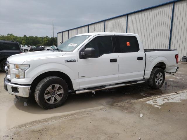 FORD F-150 2016 1ftew1cg9gfa15526