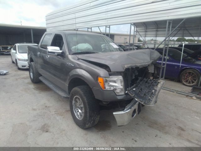 FORD F-150 2012 1ftew1cm0cfa21439