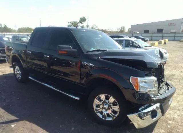 FORD F-150 2012 1ftew1cm0cfa41464