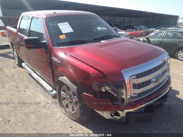 FORD F-150 2013 1ftew1cm0dke01986