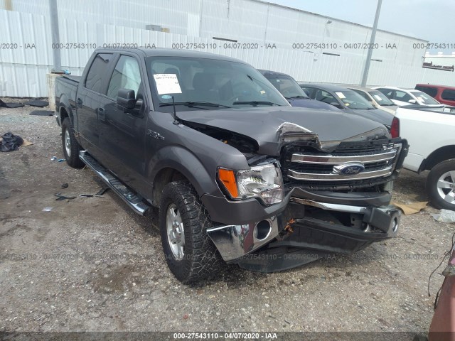 FORD F-150 2013 1ftew1cm0dkf64864